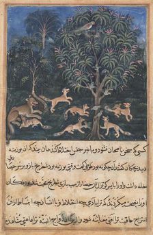 Page from Tales of a Parrot (Tuti-nama): Fifth night: The parrot mother cautions..., c. 1560. Creator: Daswanth (Indian)
