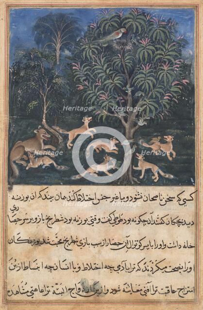 Page from Tales of a Parrot (Tuti-nama): Fifth night: The parrot mother cautions..., c. 1560. Creator: Daswanth (Indian).