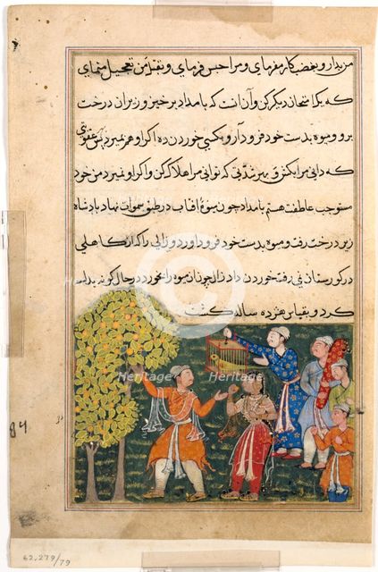 Page from Tales of a Parrot (Tuti-nama): Ninth night: The king plucks fruit from the Tree..., c. 156 Creator: Unknown.