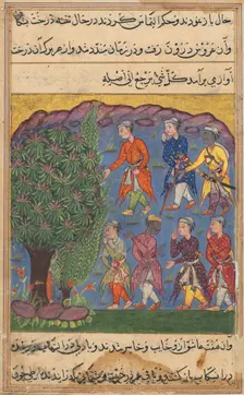 Page from Tales of a Parrot (Tuti-nama): Sixth night: Seven men disputing possession..., c. 1560. Creator: Unknown
