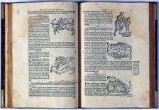 Pages of the book on mythology and iconography Fabolarum liber 1549. Creator: Gaius Julius Hyginus (64 bC. - 17 aC,)