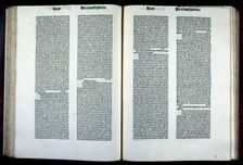 Pages of the work Speculum naturale medieval scientific encyclopedia by Vincentius..., 1481. Creator: Vincentius Bellovacensis (1184-/1194-1264))