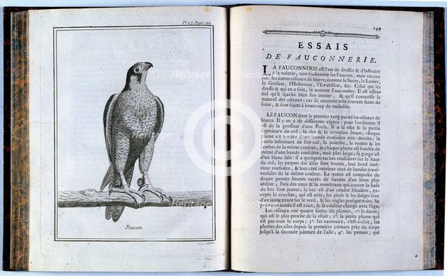 Pages of 'Traité de veneria et de chases', 1769. Creator: Unknown.