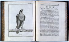 Pages of Traité de veneria et de chases 1769. Creator: Unknown