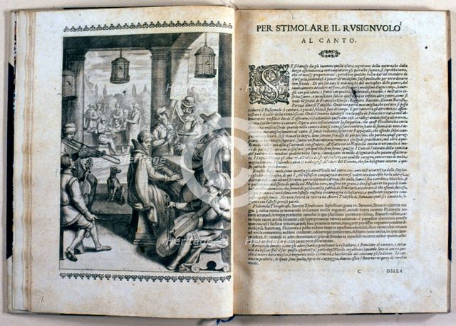 Pages with illustrations of the work 'Uccelliera overo discorso della natura', 1622. Creator: Olina, Giovanni Pietro (1585-1645).