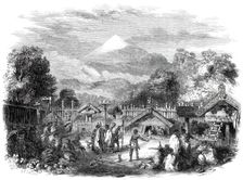 Pah, or fortified village, of the natives in the province of New Plymouth..., 1860. Creator: Unknown