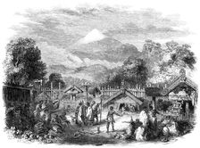 Pah, or fortified village, of the natives in the province of New Plymouth..., 1860. Creator: Unknown