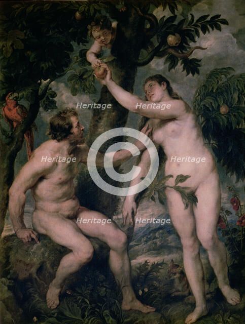 Painting by Peter Paul Rubens (1577 - 1640) 'Adam and Eve', copy of Titian's painting, kept in th…