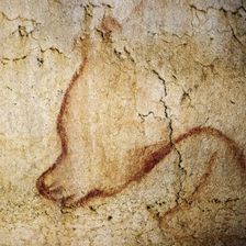 Painting in the Chauvet cave, 32,000-30,000 BC
