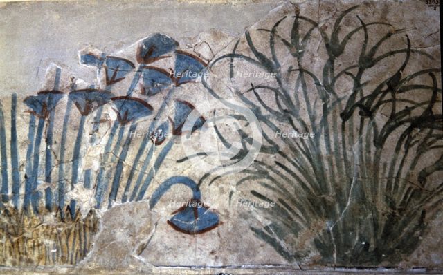 Painting with plant motifs from the palace of Akhenaten.