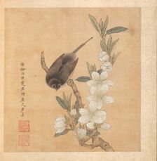 Paintings after Ancient Masters: A Bird and Peach-Blossom Branch, 1598-1652. Creator: Chen Hongshou (Chinese, 1598/99-1652)