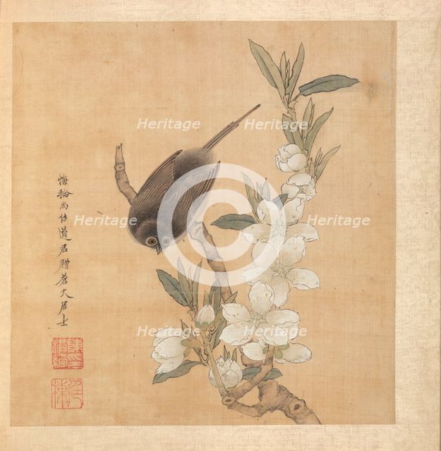 Paintings after Ancient Masters: A Bird and Peach-Blossom Branch, 1598-1652. Creator: Chen Hongshou (Chinese, 1598/99-1652).