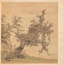 Paintings after Ancient Masters: An Ancient Tree, 1598-1652. Creator: Chen Hongshou (Chinese, 1598/99-1652)