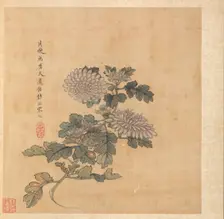Paintings after Ancient Masters: Chrysanthemum, 1598-1652. Creator: Chen Hongshou (Chinese, 1598/99-1652)
