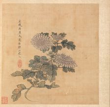 Paintings after Ancient Masters: Chrysanthemum, 1598-1652. Creator: Chen Hongshou (Chinese, 1598/99-1652)