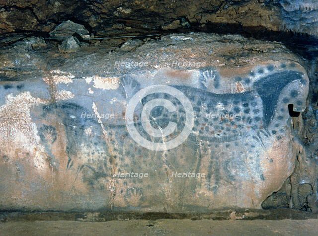 Paintings Hall (Pech-Merle Cave), Painting of two contemporary horses overlapped, they are shown …