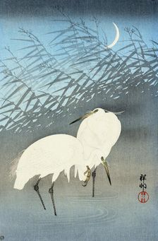 Pair of white egrets, 1930. Creator: Ohara Koson