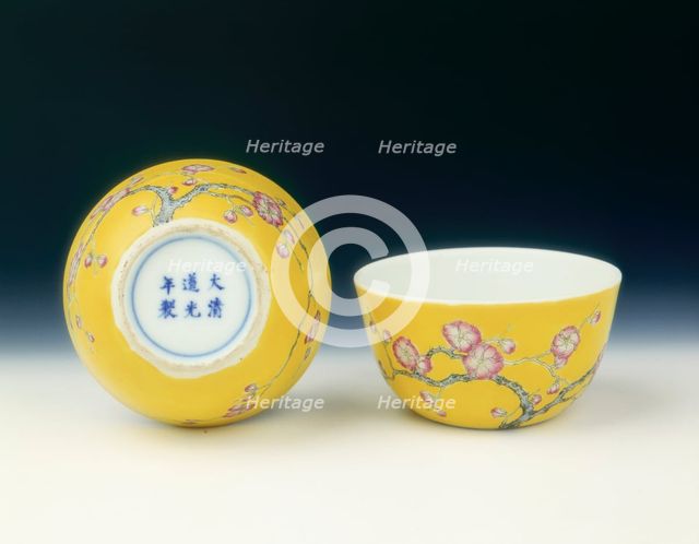 Pair of yellow ground famille rose cups, Late Qing dynasty, 19th-early 20th century. Artist: Unknown