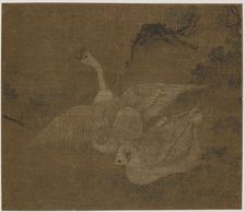 Pair of domestic geese, Possibly Ming dynasty, 1368-1644. Creator: Unknown