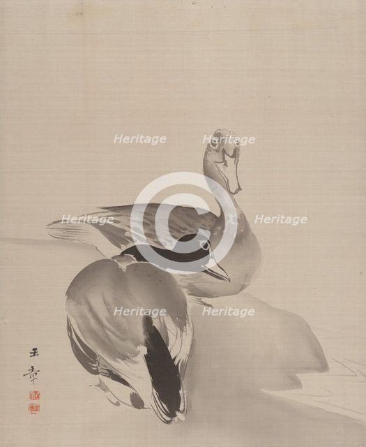 Pair of Ducks, 1887-92. Creator: Gyokusho Kawabata.