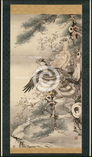 Pair of Hawks with Branch and Blossoms. Artist: Shohaku, Soga (1730-1781)
