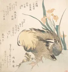 Pair of Mandarin Ducks and Iris Flowers, late 18th-early 19th century. Creator: Kubo Shunman