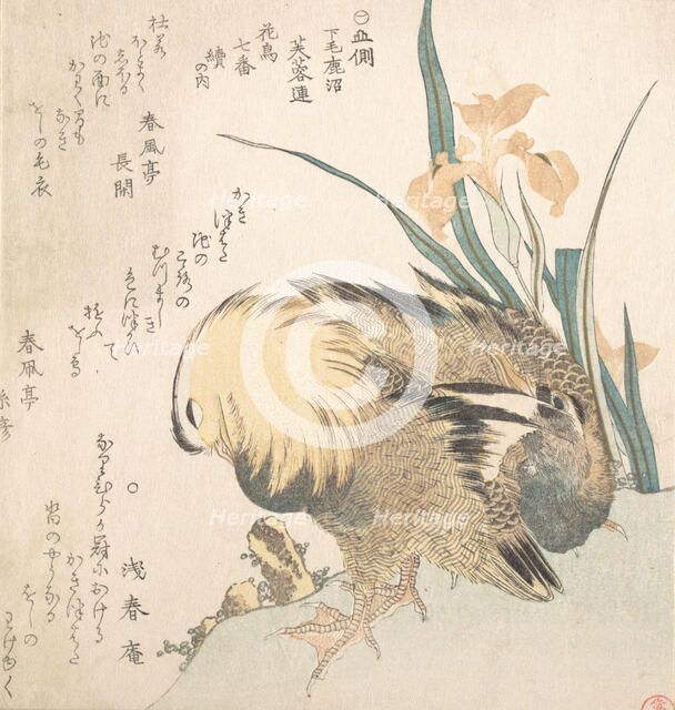 Pair of Mandarin Ducks and Iris Flowers, late 18th-early 19th century. Creator: Kubo Shunman.