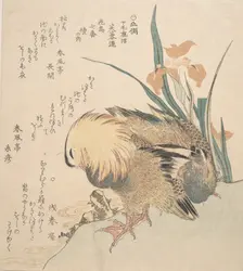 Pair of Mandarin Ducks and Iris Flowers, late 18th-early 19th century. Creator: Kubo Shunman