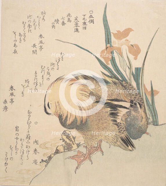 Pair of Mandarin Ducks and Iris Flowers, late 18th-early 19th century. Creator: Kubo Shunman.
