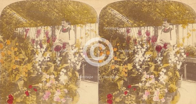 Pair of Stereograph Views of the Royal Botanic Gardens, Kew Gardens, London, England, 1850s-1910s. Creator: J F Jarvis.