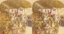 Pair of Stereograph Views of the Royal Botanic Gardens, Kew Gardens, London, England, 1850s-1910s. Creator: J F Jarvis