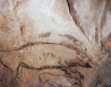 Paleolithic cave-painting of a bison and ibex