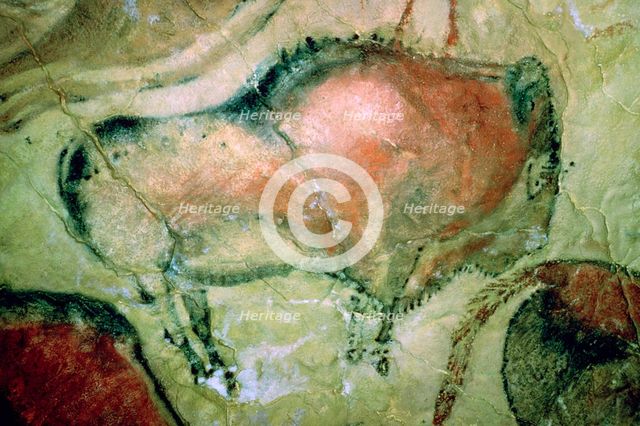 Paleolithic cave-painting of Bison from Spain. Artist: Unknown