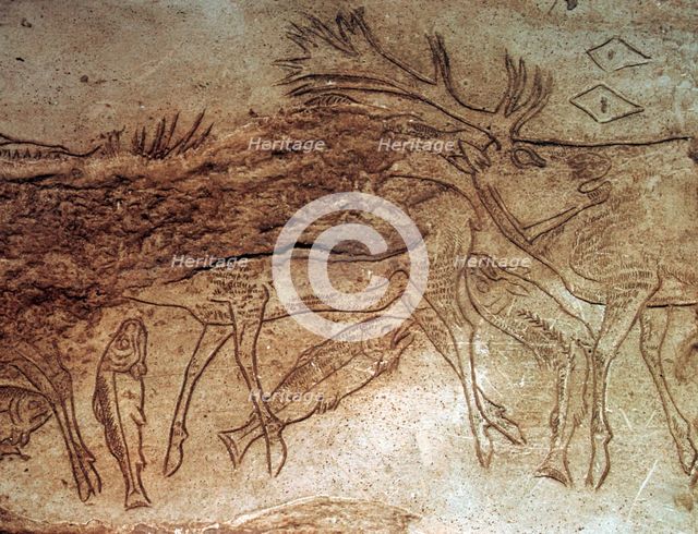 Paleolithic engraved bone with reindeer. Artist: Unknown