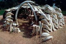 Paleolithic mammoth hunter's hut