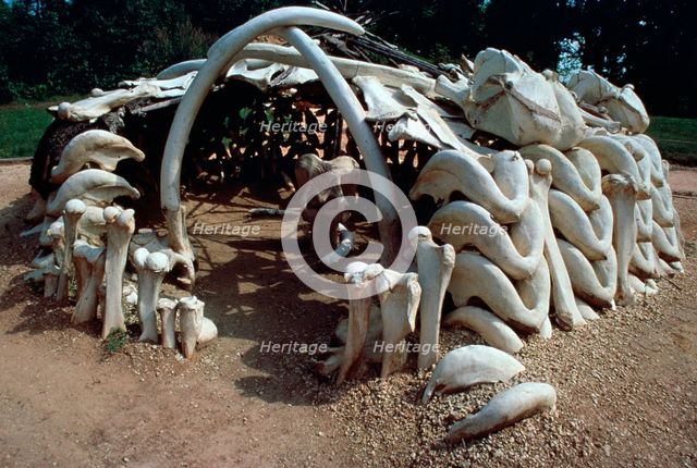 Paleolithic mammoth hunter's hut. Artist: Unknown