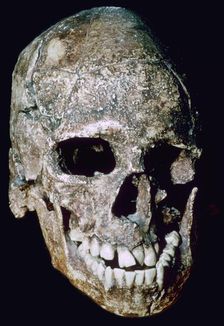 Paleolithic Skull of Grimaldi man his species unknown