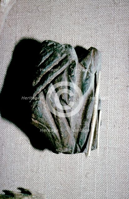 Paleolithic Polishing Stone for Sharpening Bone Harpoons from Dordogne, c50,000BC-c10,000 BC Artist: Unknown.