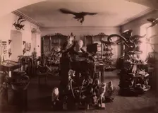 Paleontological and Archaeological Objects Collected from the Tyumen Area., 1889. Creator: N Terekhov