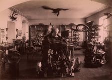 Paleontological and Archaeological Objects Collected from the Tyumen Area., 1889. Creator: N Terekhov