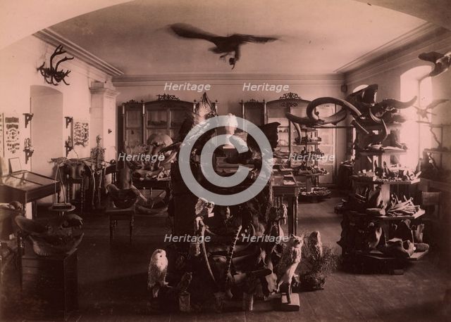 Paleontological and Archaeological Objects Collected from the Tyumen' Area., 1889. Creator: N Terekhov.