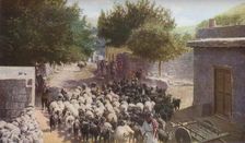 Palestine c1930s. Artist: Ewing Galloway