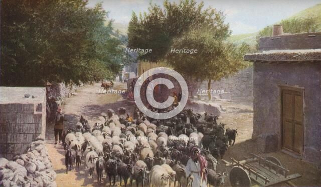 Palestine', c1930s. Artist: Ewing Galloway.