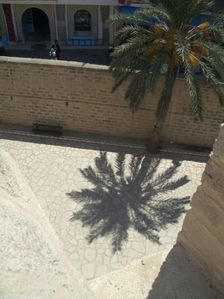 Palm tree and shadow, Sousse, Tunisia, 2009. Creator: Amanda Waite