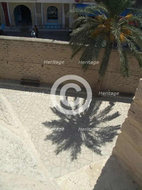 Palm tree and shadow, Sousse, Tunisia, 2009. Creator: Amanda Waite.