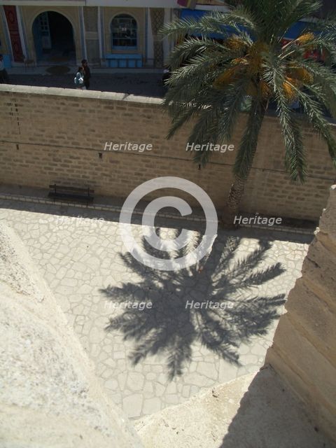 Palm tree and shadow, Sousse, Tunisia, 2009. Creator: Amanda Waite.