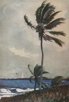 Palm Trees, Nassau 1898, (1932). Artist: Winslow Homer