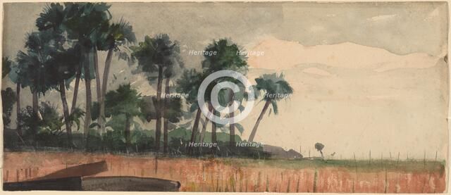 Palm Trees, Red, 1890. Creator: Winslow Homer.