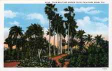 Palm Walk and garden, Royal Palm Park, Miami, Florida, USA, 1931