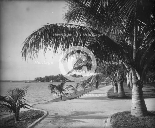 Palm Beach, c1894. Creator: William H. Jackson.